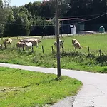 Irigoien Landhaus *