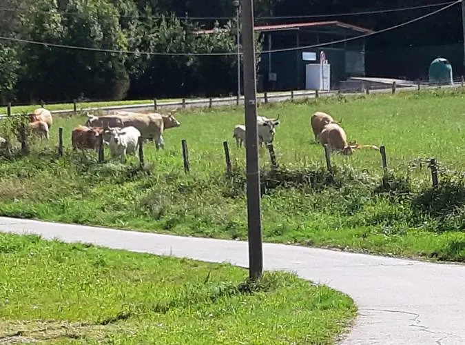 Irigoien Casa rural *